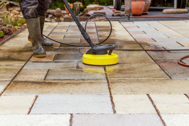 Best Fence Cleaning  in Grand Marais, MN